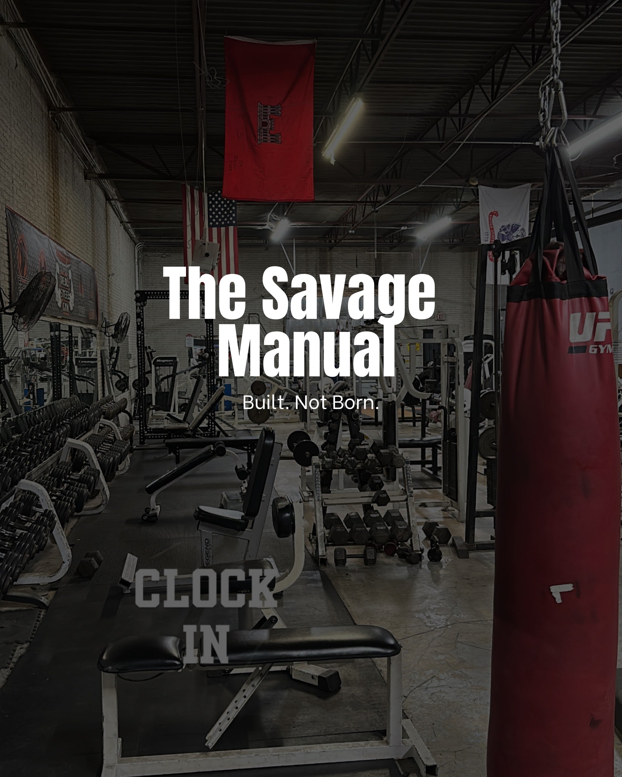 DRVN TRAINING SYSTEMS